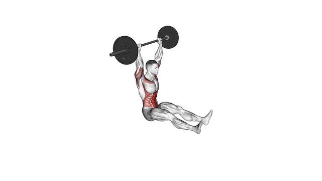 z-press anatomy exercise motion graphic muscle highlight workout fitness illustration video uhd 4k