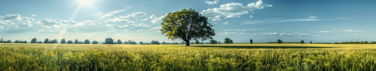 Fototapeta premium Serene Vista: The Tranquil Beauty of an Open Field Under the Expansive Sky, a Pristine Natural Landscape Embracing the Essence of Rural Charm