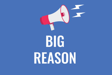 Big Reason button, banner, label, template for website. Big Reason text with colorful megaphone icon