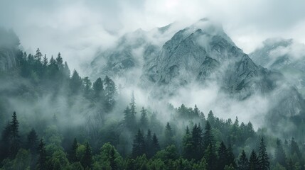 Misty rocky mountain range shrouded in fog during early morning hours