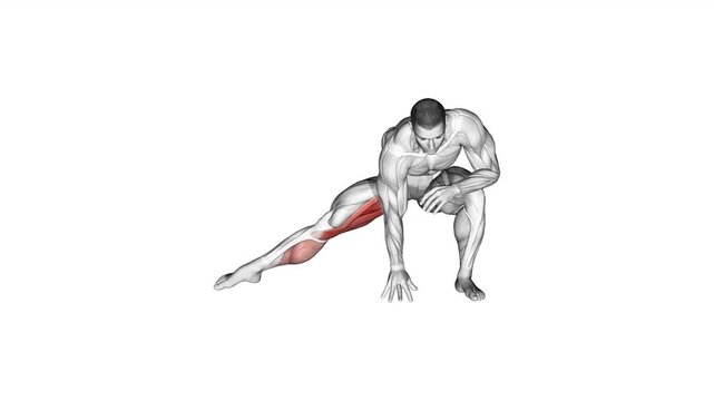 standing bent knee hip adductor stretch anatomy exercise motion graphic muscle highlight workout fitness illustration video uhd 4k