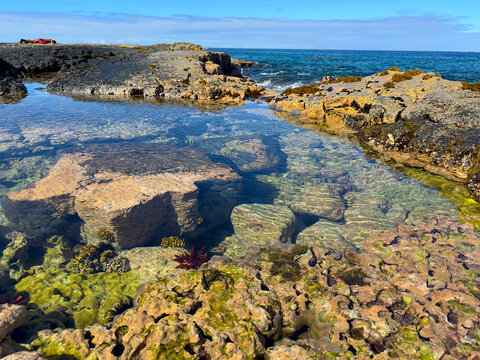 Beautiful and Unique Tidal Pool Formation at Wawaloli Beach Park Shoreline, Big Island, Hawaii. Algae, Sea Urchins and Coral Visible in the  Water. Unidentified Man Harvesting Seafood in The Rocks. 