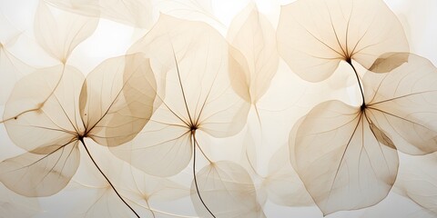 neutral color aesthetic photo with veins of leaf, Nature abstract of flower petals