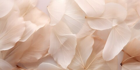 neutral color aesthetic photo with veins of leaf, Nature abstract of flower petals
