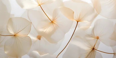 Wall murals neutral color aesthetic photo with veins of leaf, Nature abstract of flower petals