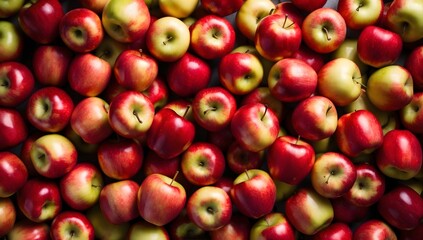 A close-up image of a pile of red apples, the apples are arranged in a random pattern, and the light shines through their skin