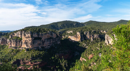 Majestic cliffs rise like ancient citadels, crowned with verdant forest, standing guard over the valley's lush carpet of trees under a serene sky.