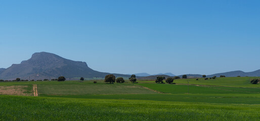 The serene landscape features lush green fields stretching towards distant mountains under a clear blue sky.The Spanish countryside.
