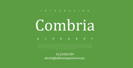 signature Font Calligraphy Logotype Script Brush Font Type Font lettering handwritten