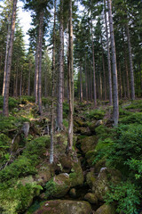 Góry Karkonosze, Szklarska Poręba