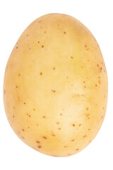 Young potatoes on a blank empty background.