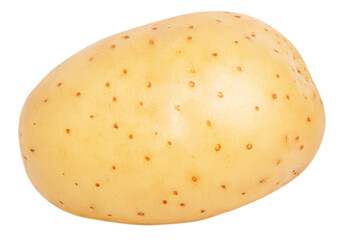 Young potatoes on a blank empty background.
