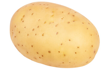 Young potatoes on a blank empty background.