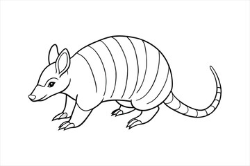 armadillo line art vector