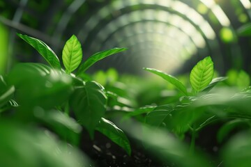 In a future where coins transform into living plants