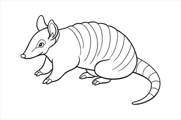 armadillo line art vector
