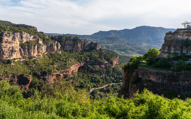 Majestic cliffs rise like ancient citadels, crowned with verdant forest, standing guard over the valley's lush carpet of trees under a serene sky.