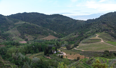 panoramic view of a verdant valley with terraced vineyards, a secluded villa, and lush forests under a clear blue sky.