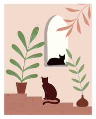 Plants in a vase and cats on stairs