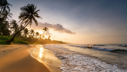 A serene beach with palm trees and gentle waves rolling in, beautiful sunset time; perfect seascape for travel concept