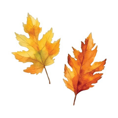 watercolor ilustraion vector of leaves in autumn, white background