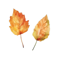 Obraz premium leaves in autumn watercolor ilustration vector, white background