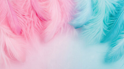 Obraz premium Soft pastel-colored feathers on light blue background with copy space