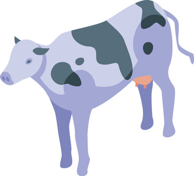 recommend clip art: Spotted milk cow standing on farm in isometric projection, farming and agriculture concept
