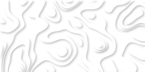 Abstract wavy line 3d paper cut white background with shadows. Abstract realistic papercut decoration textured with wavy layers. Topographic contour lines vector map seamless pattern vector.