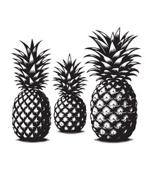 Fototapeta premium Pineapple fruits silhouette vector,black and white color