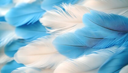 Naklejka premium A stunning closeup of blue and white feathers against a white background, showcasing elegance