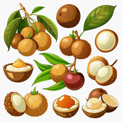 Comprehensive Collection of Fruits and Berries: Vibrant and Detailed Illustrations, Patterns, and Designs,  set of fruits, fruits and berries, set of fruit, collection of fruits, set of fruits and ber