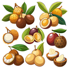 Comprehensive Collection of Fruits and Berries: Vibrant and Detailed Illustrations, Patterns, and Designs,  set of fruits, fruits and berries, set of fruit, collection of fruits, set of fruits and ber