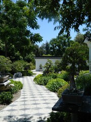 bonsai path