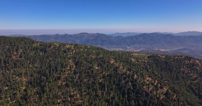 Aerial Drone Pine Forests of Los Padres Ojai California 