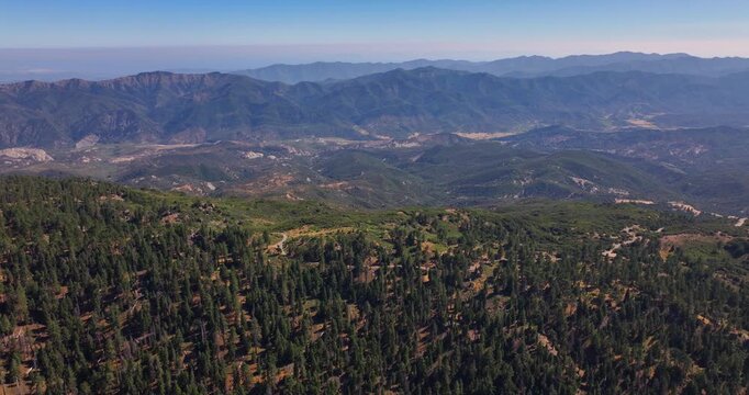 Aerial Drone Pine Forests in Los Padres Ojai 