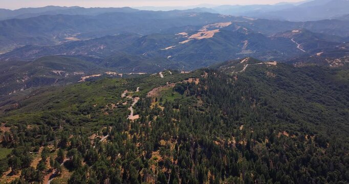 Ojai Mountain Peak Pine Forest Aerial Video 