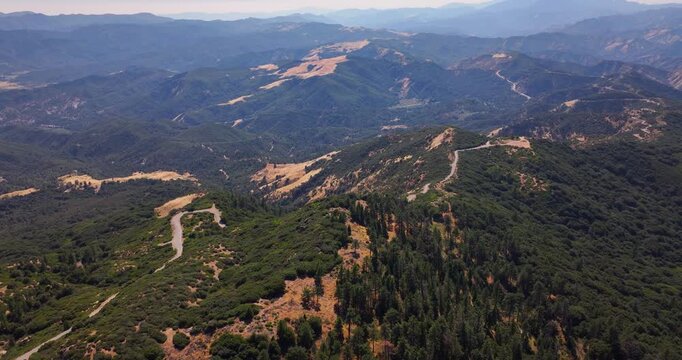 Aerial Drone Pine Forests Dick Smith Wilderness California 