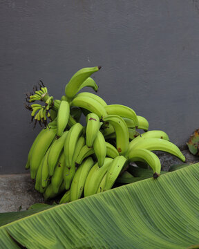 Organic Banana Bunch Robasta