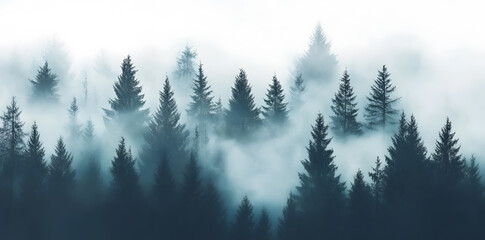 Fototapeta premium Misty foggy forest monochrome silhouette trees background