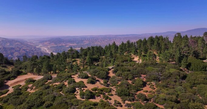 Cuyama Valley and Pine Tree Forests Aerial Video 