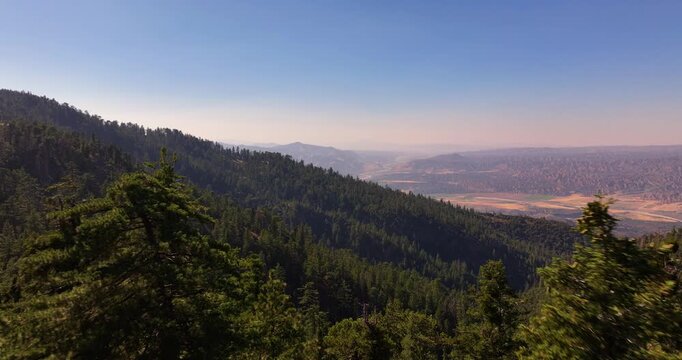 Aerial Drone Pine Forest California Central Valley 