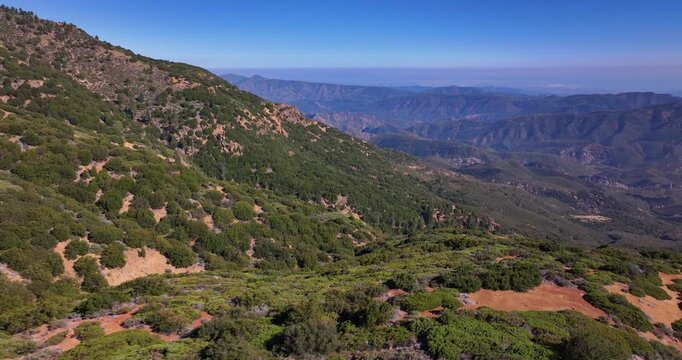 Dramatic Ojai Forest Landscape Aerial Video 