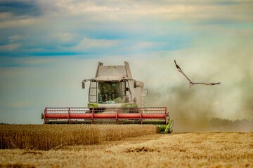 combine harvester working on a field of wheat