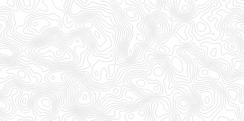 Vector drawing Topography wave line vector grid map. white wave line geography landscape Topo contour map on white background. Geographic mountain relief diagram line wave carve pattern.