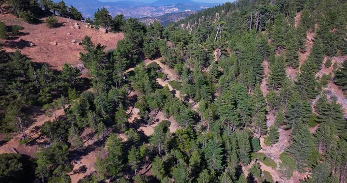Reyes Peak Los Padres Forest Aerial Video 