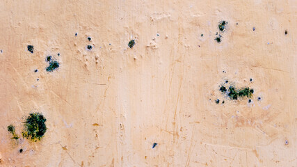 Close-up of a wall with spots of mold growth, highlighting home maintenance and mildew issues