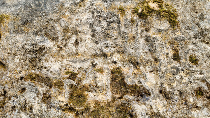 Ancient rock surface covered with moss and lichens, capturing the texture and age, perfect for nature and geology concepts