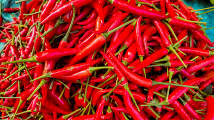Fototapeta premium Close-up of vibrant red chili peppers, perfect for spice-related content or Mexican cuisine themes, highlighting organic farming and cooking