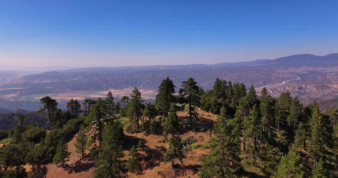 Cuyama Valley Pine Forest California Aerial Video